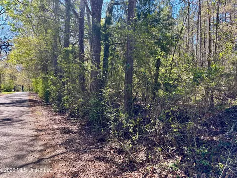 SEvans Loop, Ruth, MS 39662 photo 5