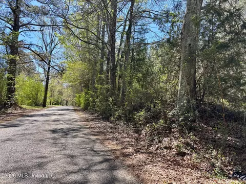 SEvans Loop, Ruth, MS 39662
