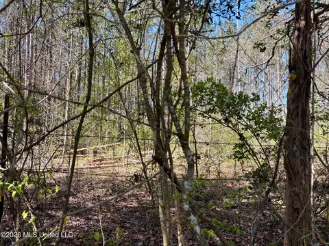 SEvans Loop, Ruth, MS 39662 photo 3