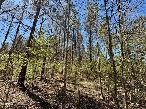 SEvans Loop, Ruth, MS 39662 photo 2