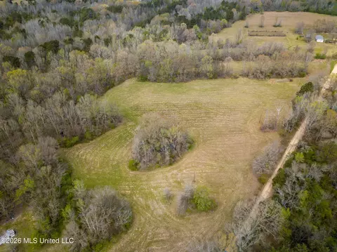 Simpson Road, Pickens, MS 39146 photo 3
