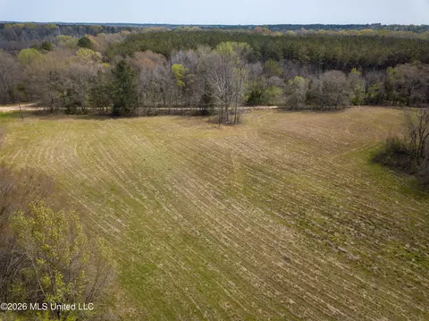 Simpson Road, Pickens, MS 39146 photo 23