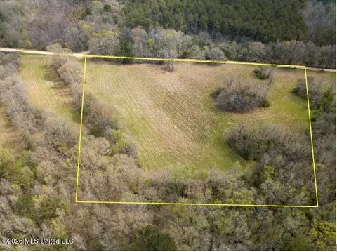 Simpson Road, Pickens, MS 39146 photo 6