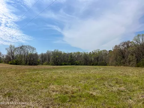 Simpson Road, Pickens, MS 39146 photo 12