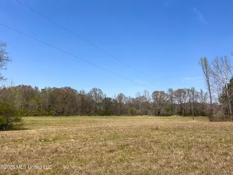 Simpson Road, Pickens, MS 39146 photo 18