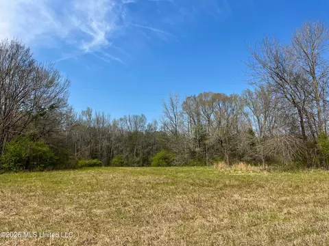Simpson Road, Pickens, MS 39146 photo 27