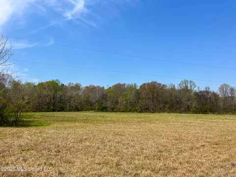 Simpson Road, Pickens, MS 39146 photo 13
