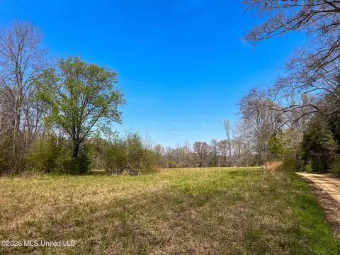 Simpson Road, Pickens, MS 39146 photo 16