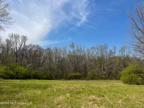 Simpson Road, Pickens, MS 39146 photo 2