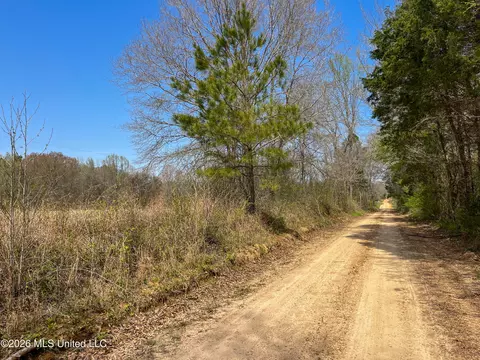 Simpson Road, Pickens, MS 39146 photo 26