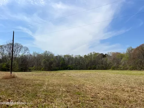 Simpson Road, Pickens, MS 39146 photo 11