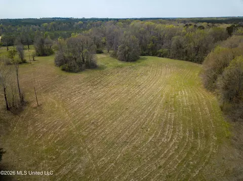 Simpson Road, Pickens, MS 39146 photo 22