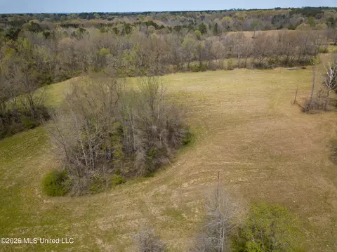 Simpson Road, Pickens, MS 39146 photo 24
