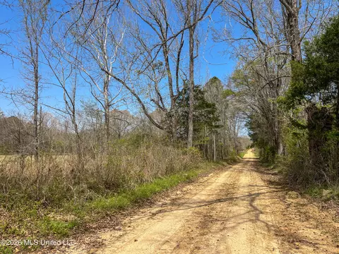 Simpson Road, Pickens, MS 39146 photo 17