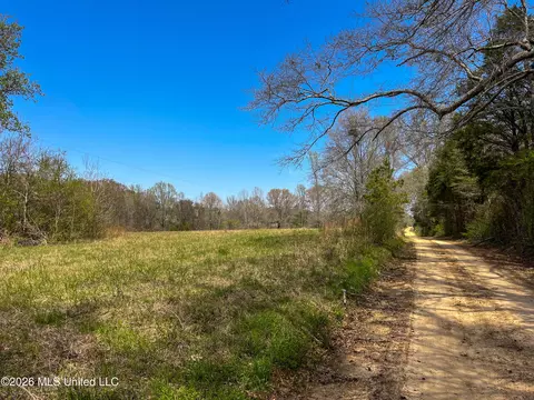 Simpson Road, Pickens, MS 39146 photo 14