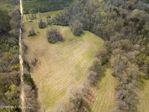 Simpson Road, Pickens, MS 39146 photo 21