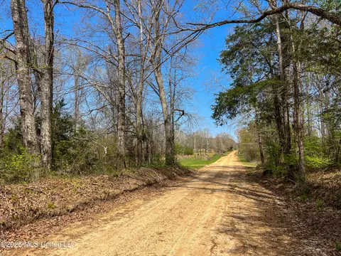 Simpson Road, Pickens, MS 39146 photo 7