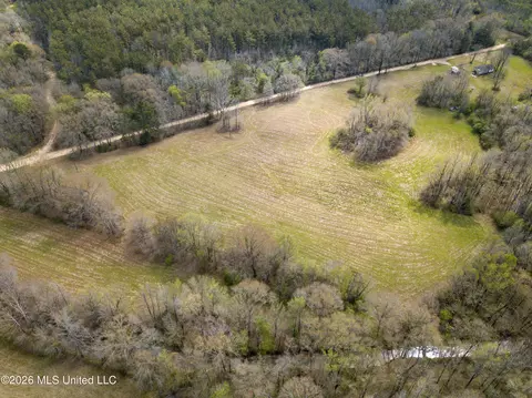 Simpson Road, Pickens, MS 39146 photo 20