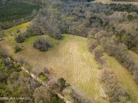 Simpson Road, Pickens, MS 39146 photo 5