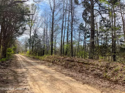 Simpson Road, Pickens, MS 39146 photo 9