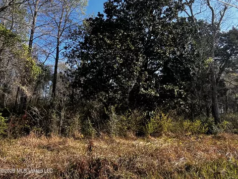 00 Gavin Hamilton Rd, Moss Point, MS 39562 photo 4