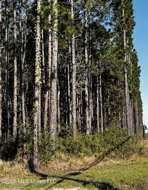 00 Gavin Hamilton Rd, Moss Point, MS 39562 photo 3