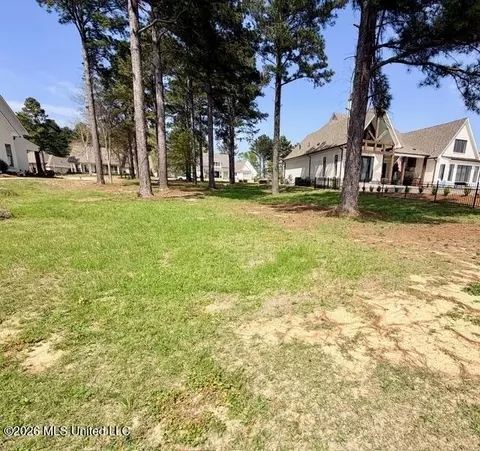 Harbor View Drive, Madison, MS 39110 photo 12