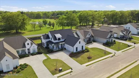 View/Area - 272 Arbor Trl, Brandon, MS 39047 photo 4 of 4