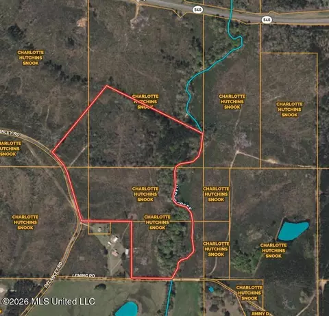 0 Delancey Rd, Braxton, MS 39044