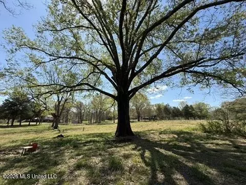 Other - 1332 Walker Rd, Terry, MS 39170 photo 15 of 50