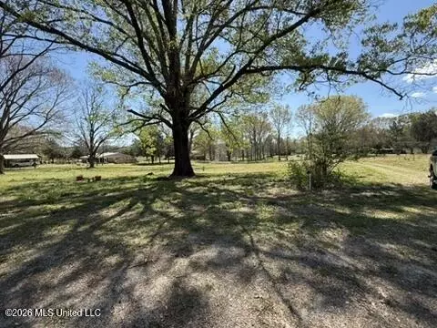 Other - 1332 Walker Rd, Terry, MS 39170 photo 33 of 50