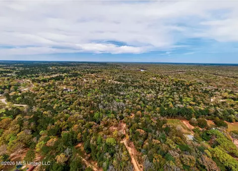 River Place, Vancleave, MS 39565 photo 7