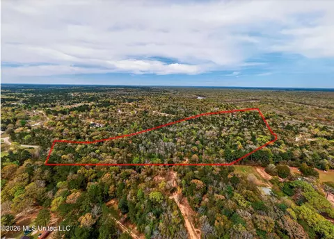 River Place, Vancleave, MS 39565 photo 3