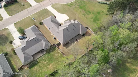 View/Area - 157 Westerly Pl, Madison, MS 39110 photo 3 of 4