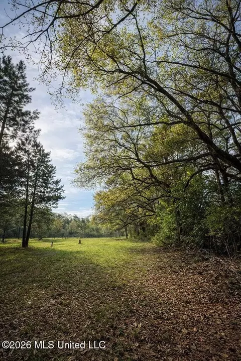 14 Acres F Z Goss Rd, Picayune, MS 39466