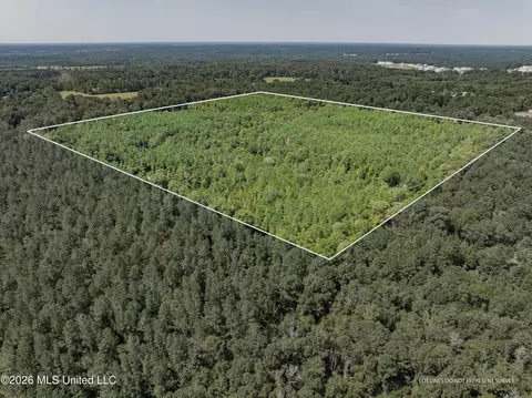40 Acres Hwy 588, Collins, MS 39428