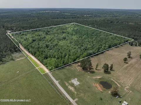 40 Acres Sons Ln, Mount Olive, MS 39119