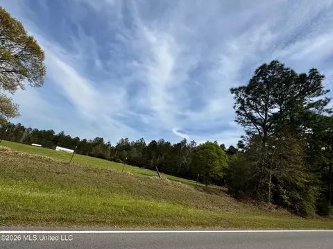 2 35ac Brushy Creek Rd, Lucedale, MS 39452 photo 5