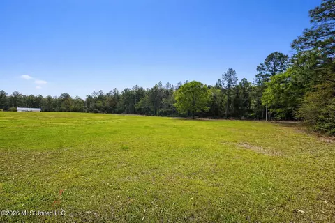 2 35ac Brushy Creek Rd, Lucedale, MS 39452 photo 3
