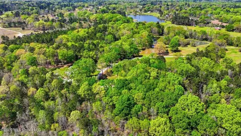 View/Area - 1391 Carroll Dr, Terry, MS 39170 photo 8 of 12