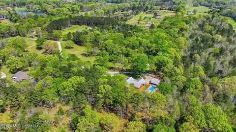 View/Area - 1391 Carroll Dr, Terry, MS 39170 photo 4 of 12