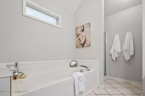 Bath - 559 Spring Hill Dr, Madison, MS 39110 photo 2 of 4