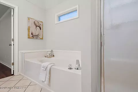 Bath - 559 Spring Hill Dr, Madison, MS 39110 photo 3 of 4