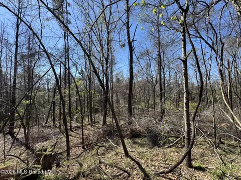 0 N Circle Rd, Lexington, MS 39095 photo 6
