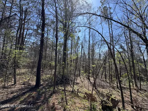 0 N Circle Rd, Lexington, MS 39095 photo 5