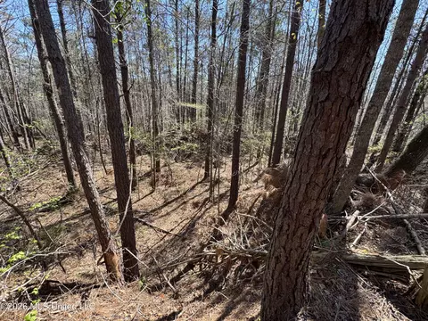0 N Circle Rd, Lexington, MS 39095 photo 12