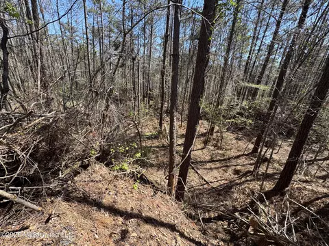 0 N Circle Rd, Lexington, MS 39095 photo 11