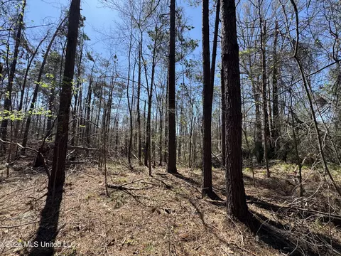 0 N Circle Rd, Lexington, MS 39095 photo 9