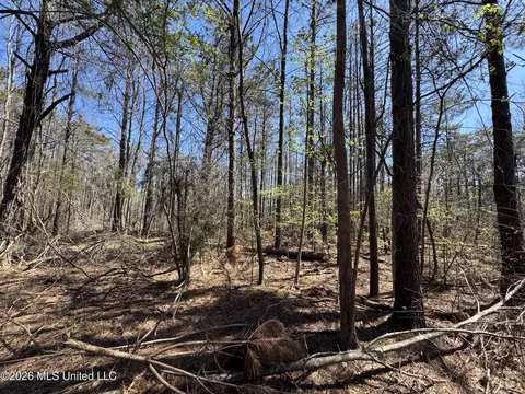 0 N Circle Rd, Lexington, MS 39095 photo 8