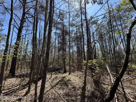 0 N Circle Rd, Lexington, MS 39095 photo 3